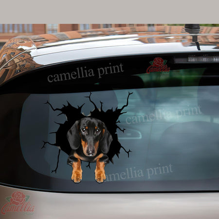 Funny Dachshund Stickers Lovable Bee Stickers Christmas Gift Ideas 2020