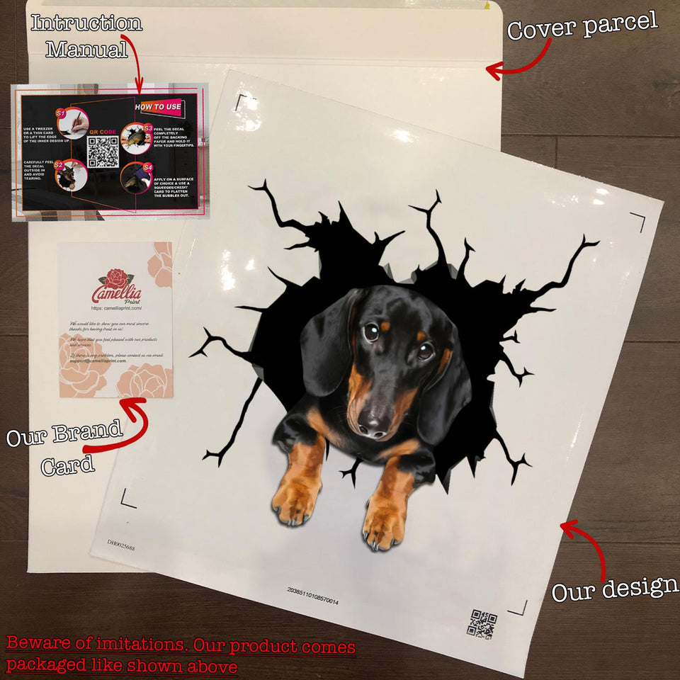 Funny Dachshund Stickers Lovable Bee Stickers Christmas Gift Ideas 2020
