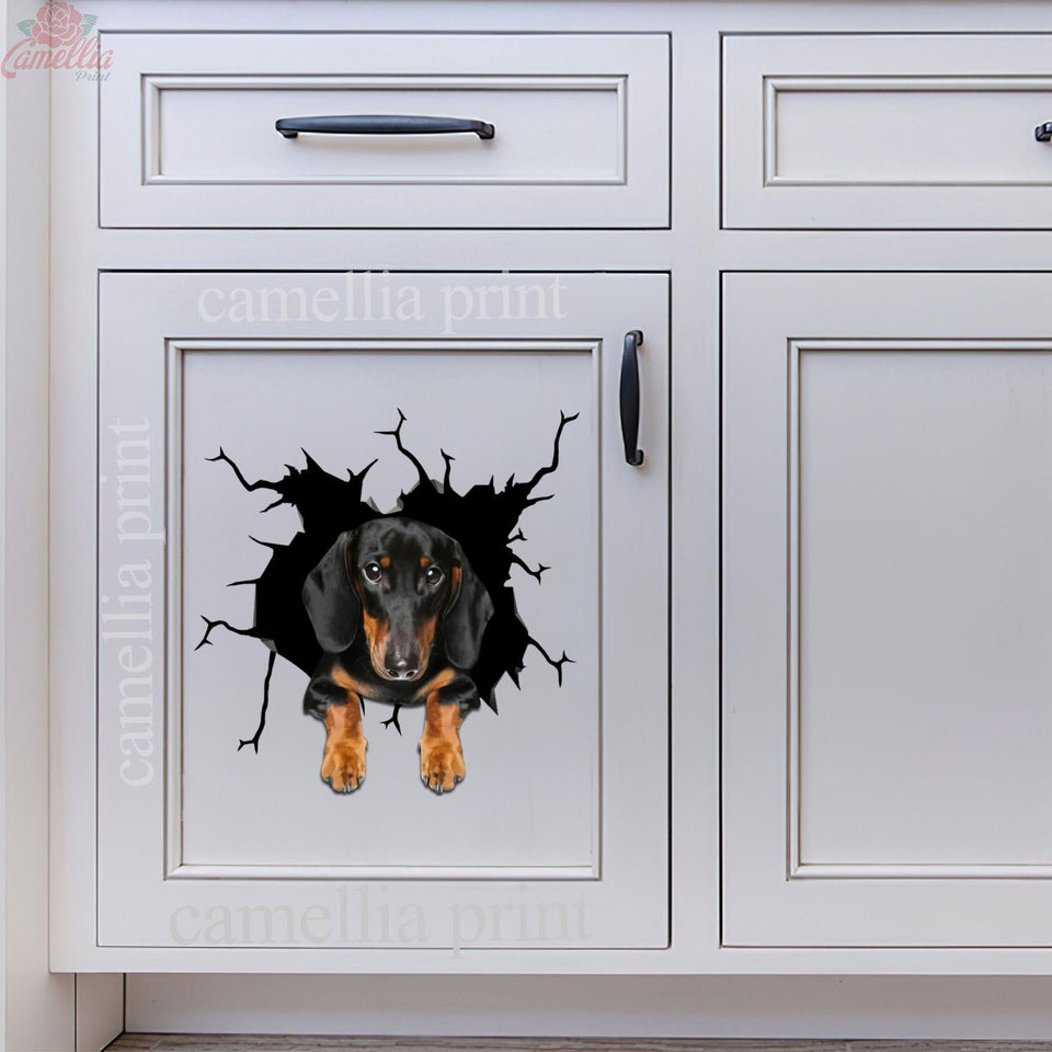 Funny Dachshund Stickers Lovable Bee Stickers Christmas Gift Ideas 2020