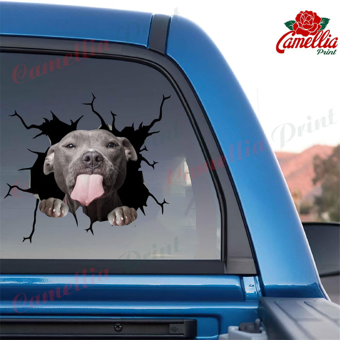 Funny Pitbull Cute Dogs Sticker For Car Pretty Label Paper Christmas Gifts 2022