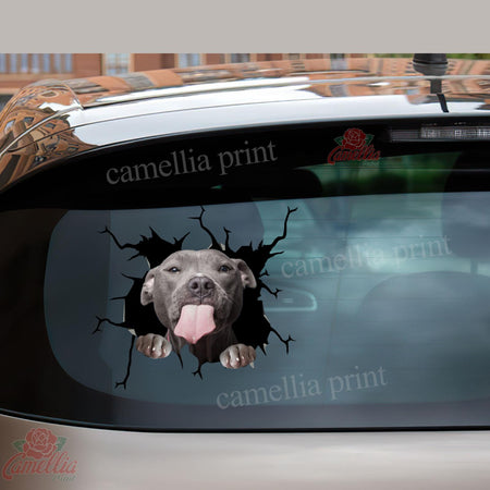 Funny Pitbull Cute Dogs Sticker For Car Pretty Label Paper Christmas Gifts 2022