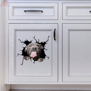 Funny Pitbull Cute Dogs Sticker For Car Pretty Label Paper Christmas Gifts 2022