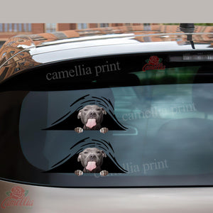 Funny Pitbull Dogs Decal For Rear Window Wiper Funny Quotes Custom Stickers Birthday Gifts For Dad