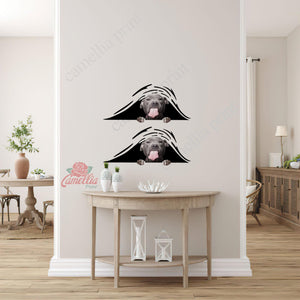 Funny Pitbull Dogs Decal For Rear Window Wiper Funny Quotes Custom Stickers Birthday Gifts For Dad
