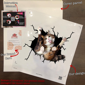 Funny Cats Crack Sticker For Car Window Nice Bumper Stickers First Communion Gifts