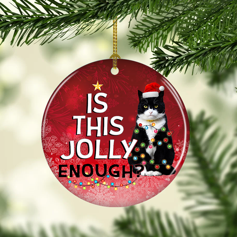 ornament-tuxedo-cat-gift-for-christmas-decorate-the-pine-tree