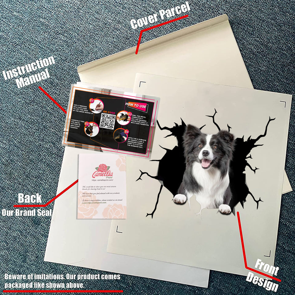 Border Collie Crack Sticker For Back Window Wiper Nice Window Decals Valentines Day Gifts