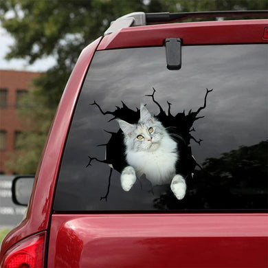 [sk0610-snf-tnt]-maine-coon-crack-sticker-cats-lover