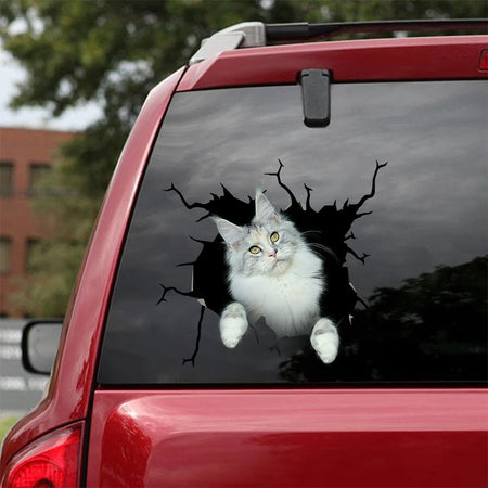 [sk0610-snf-tnt]-maine-coon-crack-sticker-cats-lover
