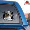 Australian Shepherd Crack Decal Car Corny Jokes Vehicle Decals Gifts For New Moms