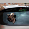 Bear Crack Stickers For Scrapbooking Cool Custom Vinyl Stickers Gifts For Friends Birthday