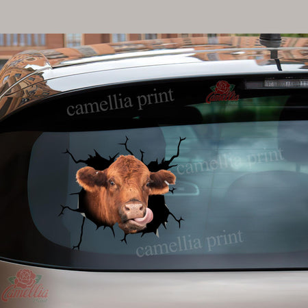 Red Angus Cow Crack Sticker Cute Funny Car Decal Stickers Gifts For Dad