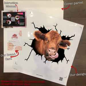 Red Angus Cow Crack Sticker Cute Funny Car Decal Stickers Gifts For Dad