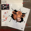 Red Angus Cow Crack Sticker Cute Funny Car Decal Stickers Gifts For Dad