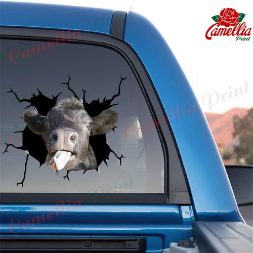 Angus Cow Crack Decals For Windows Funny Memes Custom Vinyl Decals Best Gifts 2021