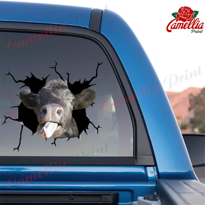 Angus Cow Crack Decals For Windows Funny Memes Custom Vinyl Decals Best Gifts 2021