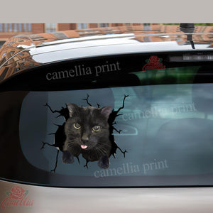 Black Cat Crack Sticker Decals Hot Decals Stickers 7 Year Anniversary Gift