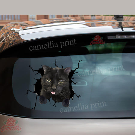 Black Cat Crack Sticker Decals Hot Decals Stickers 7 Year Anniversary Gift