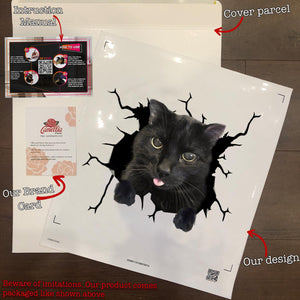Black Cat Crack Sticker Decals Hot Decals Stickers 7 Year Anniversary Gift