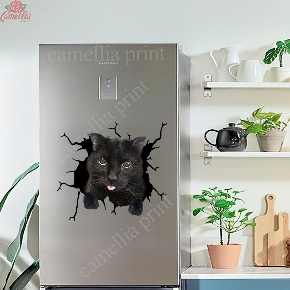 Black Cat Crack Sticker Decals Hot Decals Stickers 7 Year Anniversary Gift