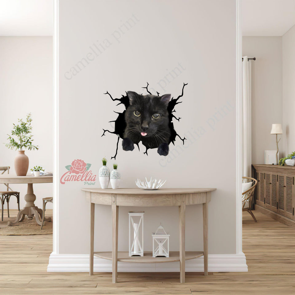 Black Cat Crack Sticker Decals Hot Decals Stickers 7 Year Anniversary Gift