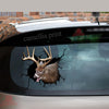 White-tailed Deer Crack Bone Sticker Fun Custom Die Cut Stickers Christmas Gift Ideas 2020