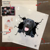 Black Labrador Crack Decor Decal Funny Faces Custom Stickers Couple Gift Ideas
