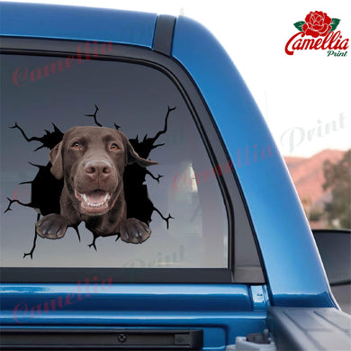Chocolate Labrador Crack Sticker Album Pretty Vinyl Decals Christmas Ideas 2021
