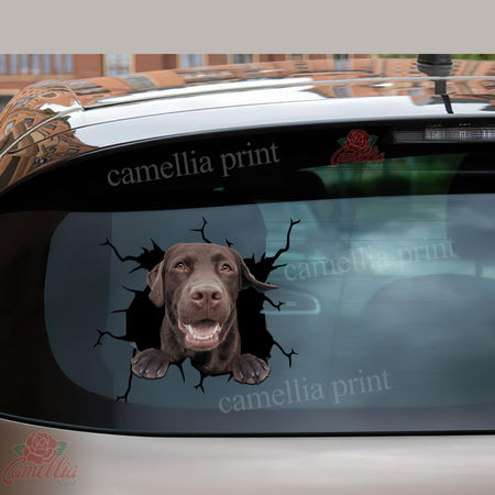 Chocolate Labrador Crack Sticker Album Pretty Vinyl Decals Christmas Ideas 2021