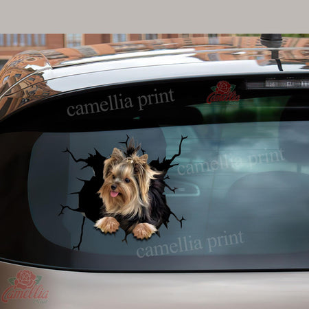 Yorkshire Crack Decals Funny Faces Face Stickers Graduation Gifts For Her