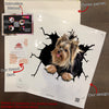 Yorkshire Crack Decals Funny Faces Face Stickers Graduation Gifts For Her