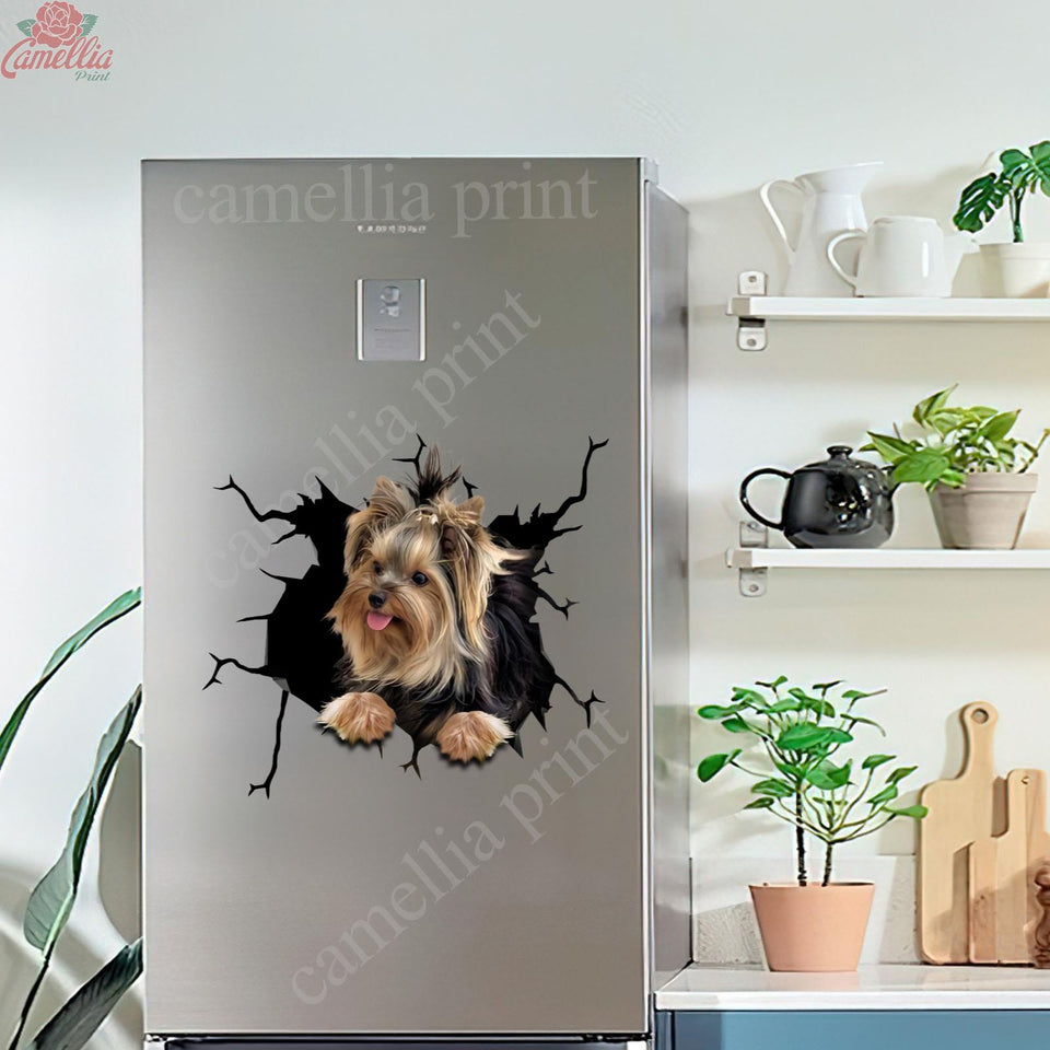 Yorkshire Crack Decals Funny Faces Face Stickers Graduation Gifts For Her
