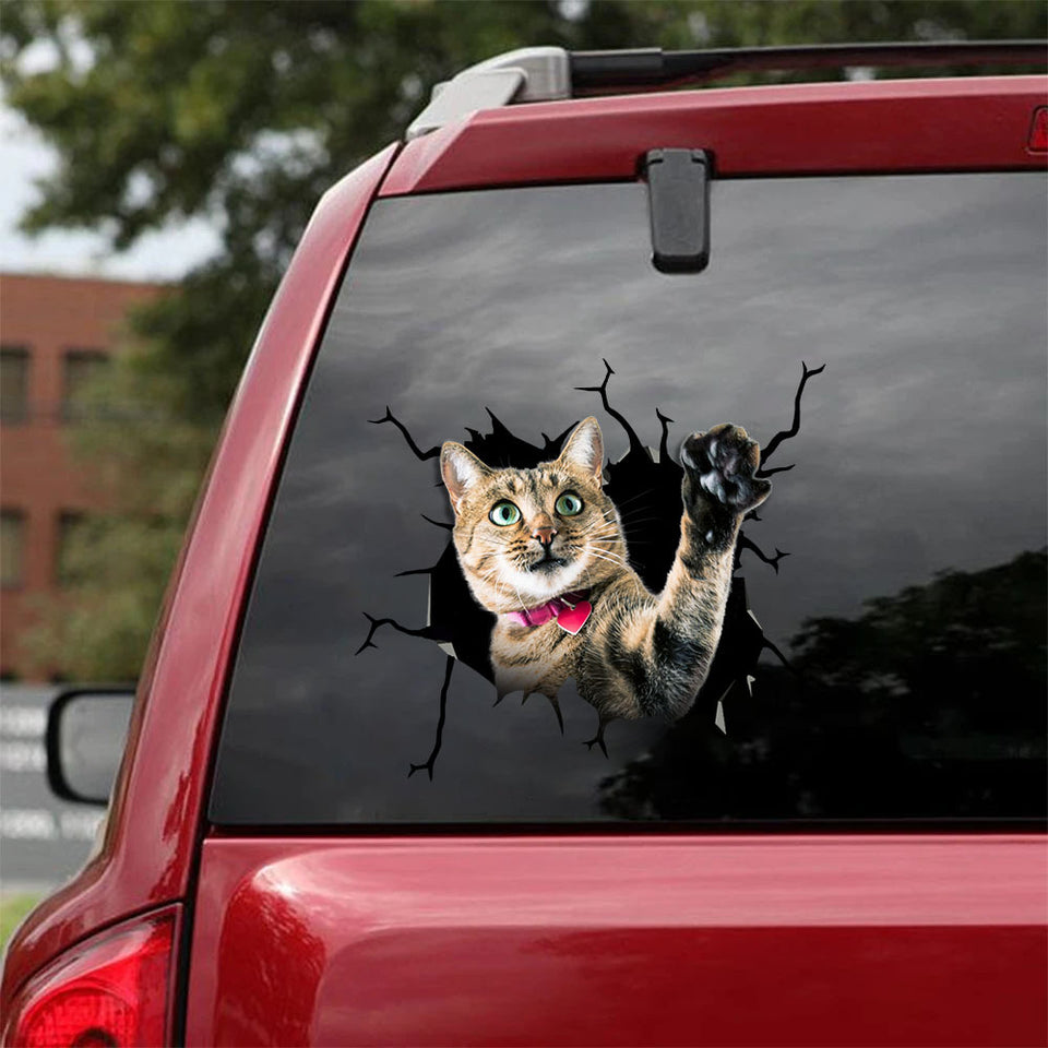 [sk1497-snf-tnt]-bengal-cat-crack-car-sticker-cats-lover