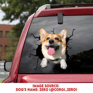 Corgi Crack Bone Sticker A Cute Waterproof Labels For Bottles Anniversary Gifts