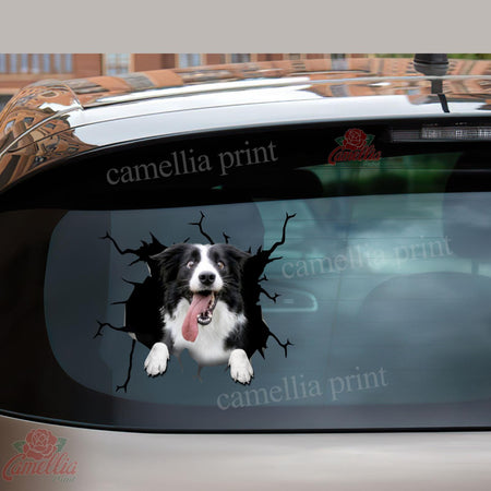 Border Collie Crack Decal For Rear Window Wiper Humor Big Stickers Cutting Board