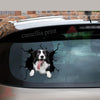 Border Collie Crack Decal For Rear Window Wiper Humor Big Stickers Cutting Board