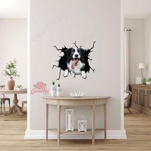Border Collie Crack Decal For Rear Window Wiper Humor Big Stickers Cutting Board