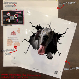 Great Dane Crack Sticker Pack Funny Pictures Sunflower Decal Valentines Day Gifts For Him