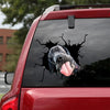 [sk1694-snf-lad]-great-dane-crack-car-sticker-dogs-lover