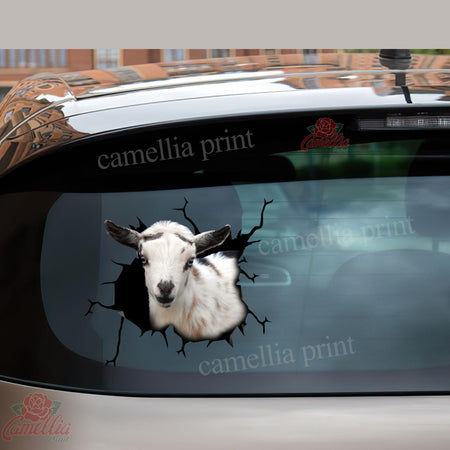 Nigerian Dwarf Goat Crack Sticker For Car Funny Quotes Big Stickers Anniversary Gift For Wife