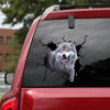 [sk1820-snf-lad]-wolf-crack-sticker-animals-lover