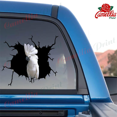 Parrot Crack Sticker For Car The Cutest Sticker Paper 50th Wedding Anniversary Gifts
