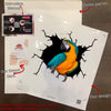 Parrot Crack Sticker Decals Funny Stickers Best Gift For Girlfriend