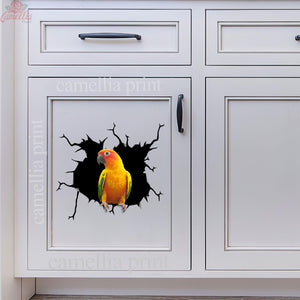Parrot Crack Sticker Box Kawaii Custom Stickers Gift Ideas For Husband