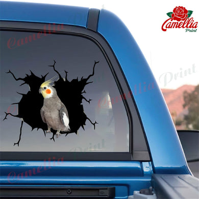 Parrot Crack Decal For Wall Lovable Laptop Decals Teacher Appreciation Gifts