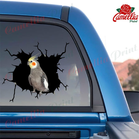 Parrot Crack Decal For Wall Lovable Laptop Decals Teacher Appreciation Gifts