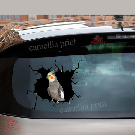 Parrot Crack Decal For Wall Lovable Laptop Decals Teacher Appreciation Gifts