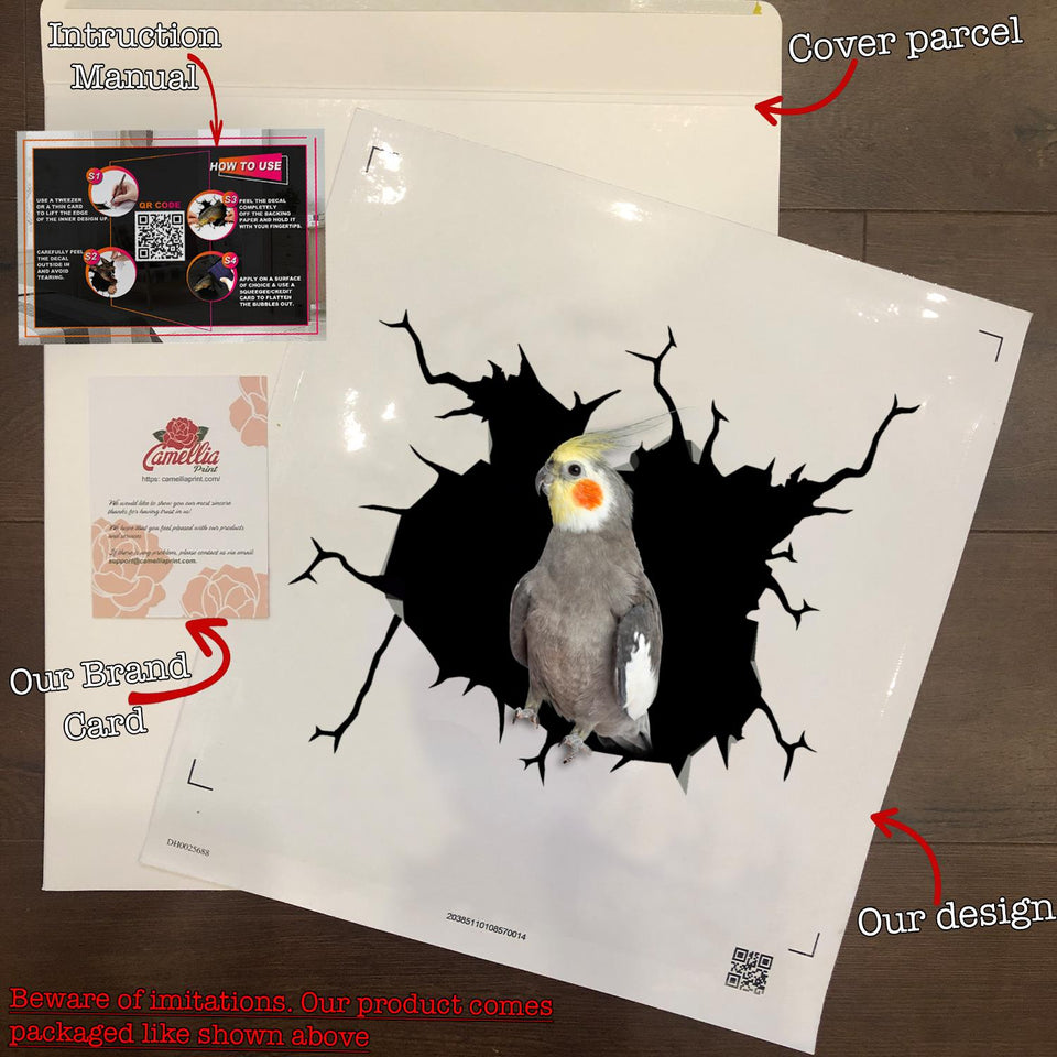 Parrot Crack Decal For Wall Lovable Laptop Decals Teacher Appreciation Gifts
