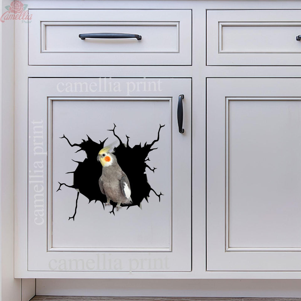 Parrot Crack Decal For Wall Lovable Laptop Decals Teacher Appreciation Gifts