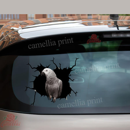 Parrot Crack Decals Cute Bumper Stickers Anniversary Gifts For Men